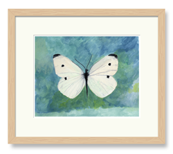 Butterflies Art White